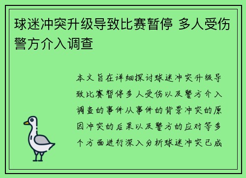 球迷冲突升级导致比赛暂停 多人受伤警方介入调查