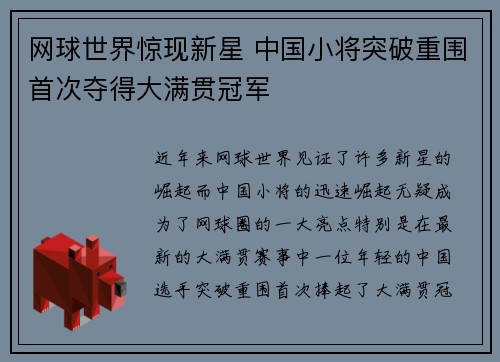 网球世界惊现新星 中国小将突破重围首次夺得大满贯冠军